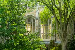 The University of Michigan Law Quad